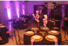 Niver 15 Anos Marielly Capóia