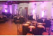 Niver 15 Anos Marielly Capóia