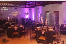 Niver 15 Anos Marielly Capóia