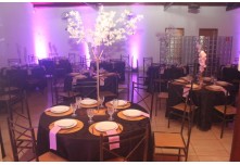 Niver 15 Anos Marielly Capóia