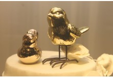 Casamento Verônica e Lucas