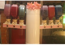 Casamento Verônica e Lucas