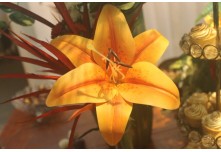  Casamento Joicemara e Leonardo