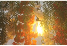  Casamento Joicemara e Leonardo