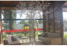 Casamento Gabriela e Mateus