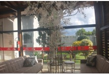 Casamento Gabriela e Mateus