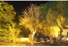 Casamento Débora e Mateus 