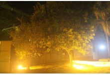 Casamento Débora e Mateus 