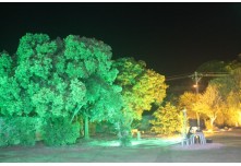 Casamento Débora e Mateus 