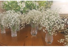 Casamento Débora e Mateus 