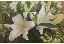 Casamento Débora e Mateus 