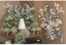 Casamento Débora e Mateus 