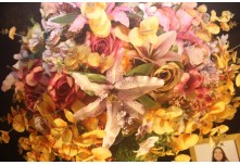  Niver 15 Anos Maria Fernanda Cunha