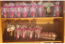  Niver 15 Anos Maria Fernanda Cunha