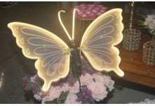  Niver 15 Anos Maria Fernanda Cunha