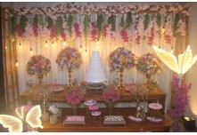  Niver 15 Anos Maria Fernanda Cunha