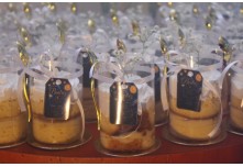 Niver 15 Anos Beatriz Nycole