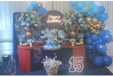 Niver 15 Anos Beatriz Nycole