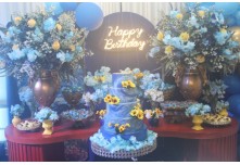 Niver 15 Anos Beatriz Nycole