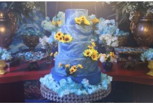 Niver 15 Anos Beatriz Nycole