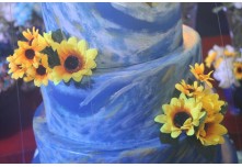 Niver 15 Anos Beatriz Nycole