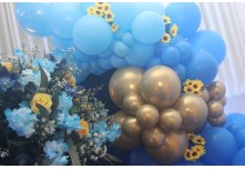 Niver 15 Anos Beatriz Nycole