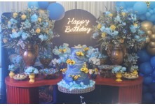 Niver 15 Anos Beatriz Nycole