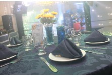 Niver 15 Anos Beatriz Nycole