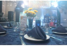 Niver 15 Anos Beatriz Nycole