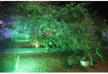 Casamento Bianca e Jean