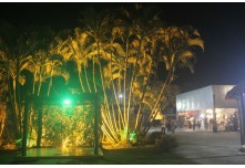 Casamento Ana Karolline e Dhiovany 
