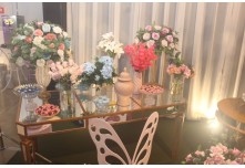 Niver 15 Anos Júlia Moreira