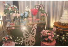 Niver 15 Anos Júlia Moreira