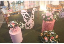 Niver 15 Anos Júlia Moreira