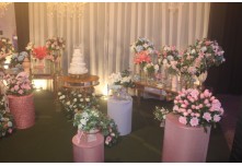 Niver 15 Anos Júlia Moreira