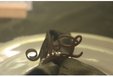 Casamento Mayara e Laiane 