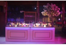 Casamento Mayara e Laiane 