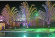  Casamento Aline e Emerson