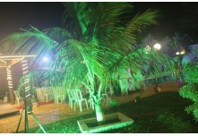  Casamento Aline e Emerson