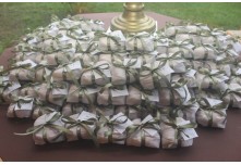  Casamento Aline e Emerson