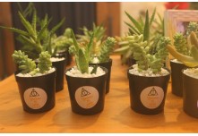 Niver 15 Anos Hellena Reis