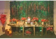 Niver 15 Anos Hellena Reis