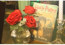 Niver 15 Anos Hellena Reis