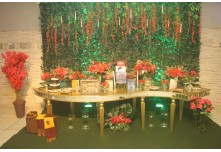 Niver 15 Anos Hellena Reis