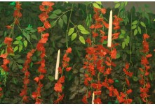 Niver 15 Anos Hellena Reis