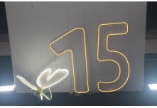 Niver 15 Anos Maria Eduarda Ribeiro