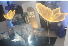 Niver 15 Anos Maria Eduarda Ribeiro