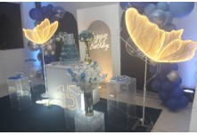 Niver 15 Anos Maria Eduarda Ribeiro
