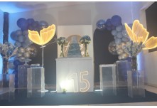 Niver 15 Anos Maria Eduarda Ribeiro