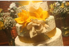Bodas de Ouro Tininha e Adolfo